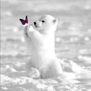 Meet your Posher, Septime Atelier Boutique